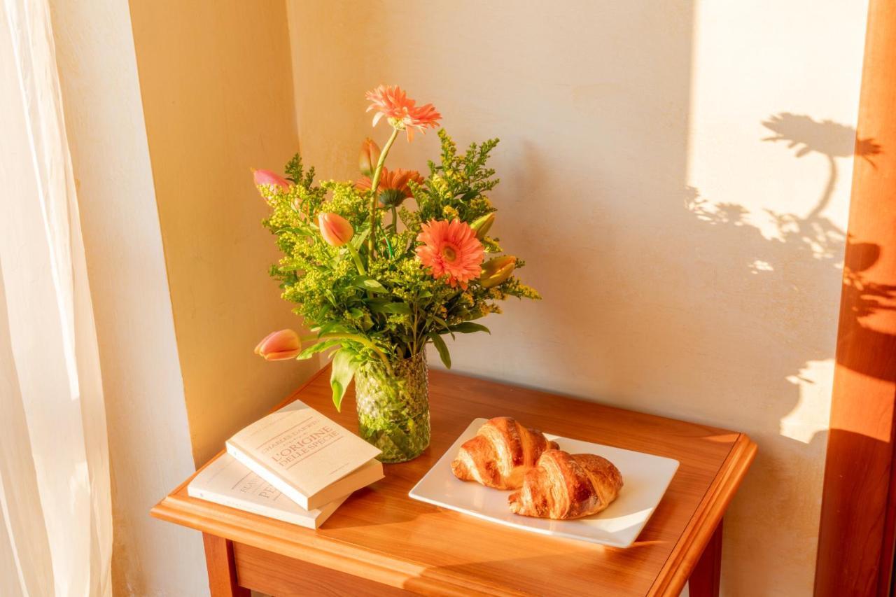 Bed and Breakfast Puerto Seguro TartufoExperience Pizzo  Exterior foto